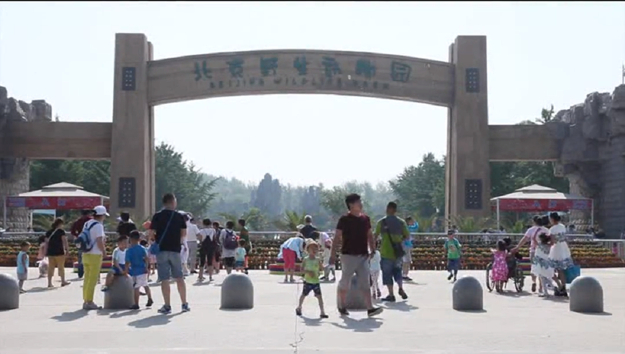 28圈官网版-创意平台,注册畅享文化之梦!