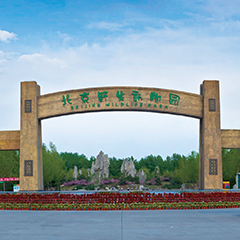 28圈官网版-创意平台,注册畅享文化之梦!